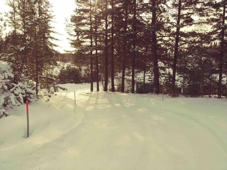 Le Chalet Bleu, Aux Pieds Des Monts-Valin Saint-David-de-Falardeau Extérieur photo