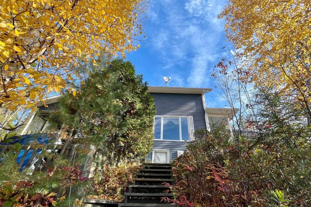 Le Chalet Bleu, Aux Pieds Des Monts-Valin Saint-David-de-Falardeau Extérieur photo